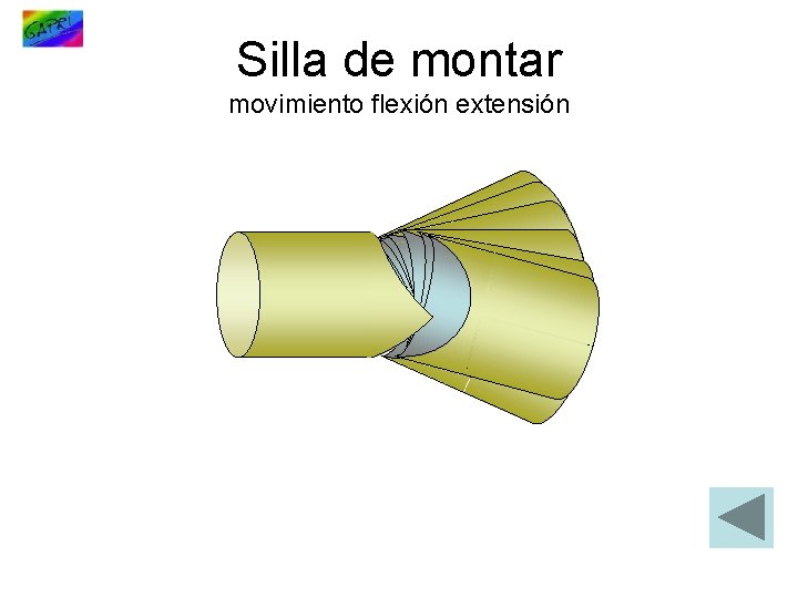 Silla de montar movimiento flexión extensión 