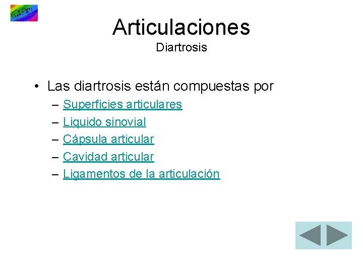 Articulaciones Diartrosis • Las diartrosis están compuestas por – – – Superficies articulares Liquido