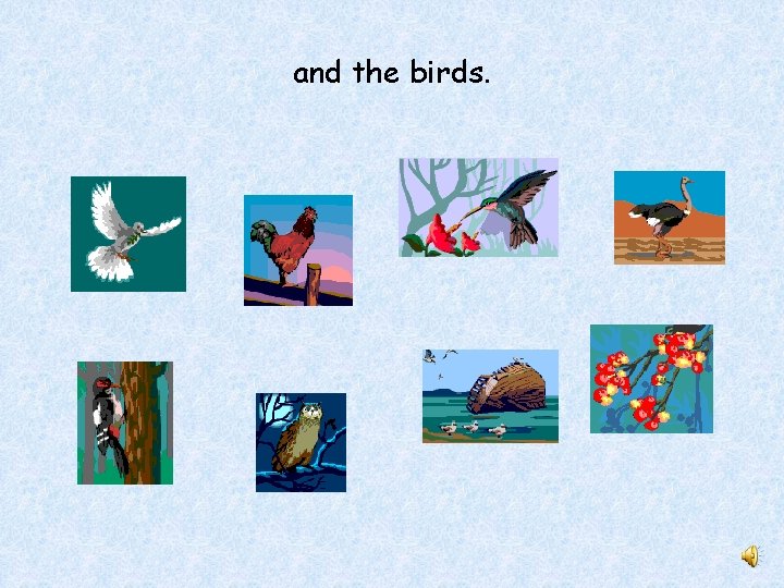 and the birds. 