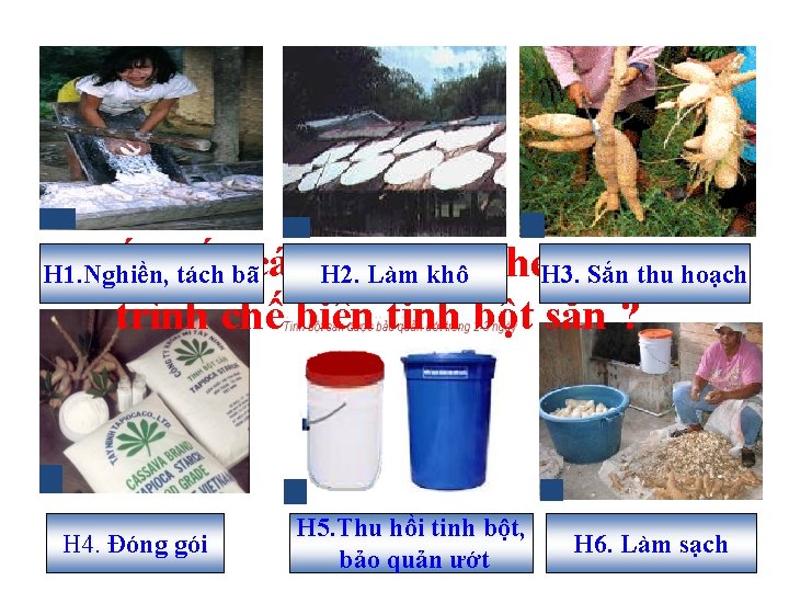 Sắp xếp các H 2. hình quy Làmsau khô theo H 3. Sắn thu