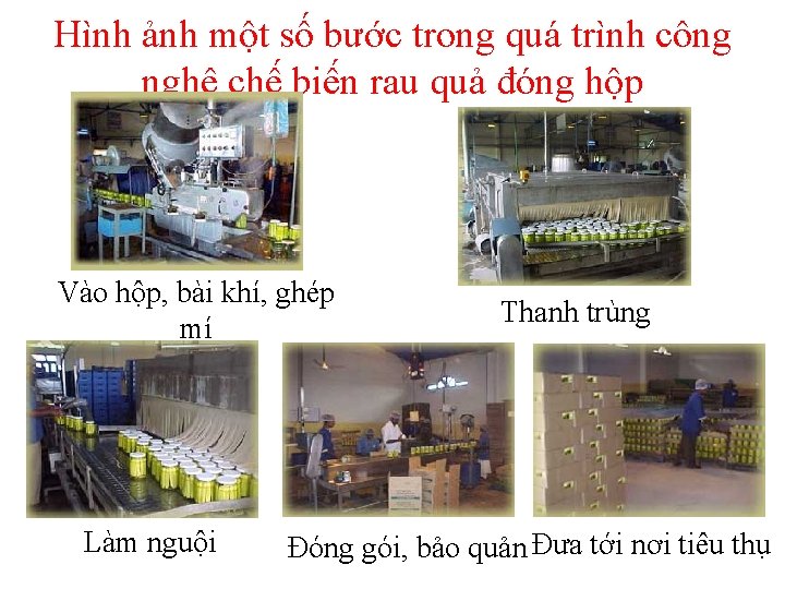 Hình ảnh một số bước trong quá trình công nghệ chê biê n rau