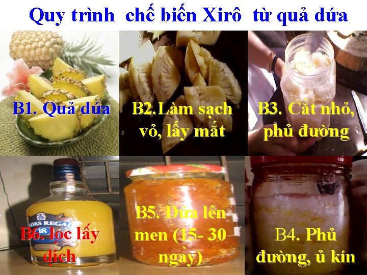 Quy trình chế biến Xirô từ quả dứa B 1. Quả dứa B 6.