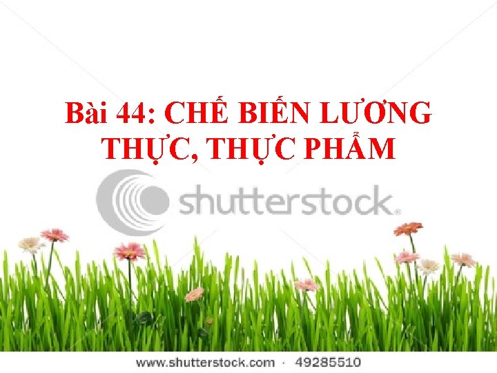 Bài 44: CHẾ BIẾN LƯƠNG THỰC, THỰC PHẨM 