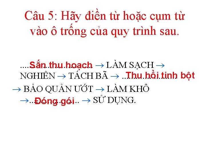 Câu 5: Hãy điền từ hoặc cụm từ vào ô trống của quy trình