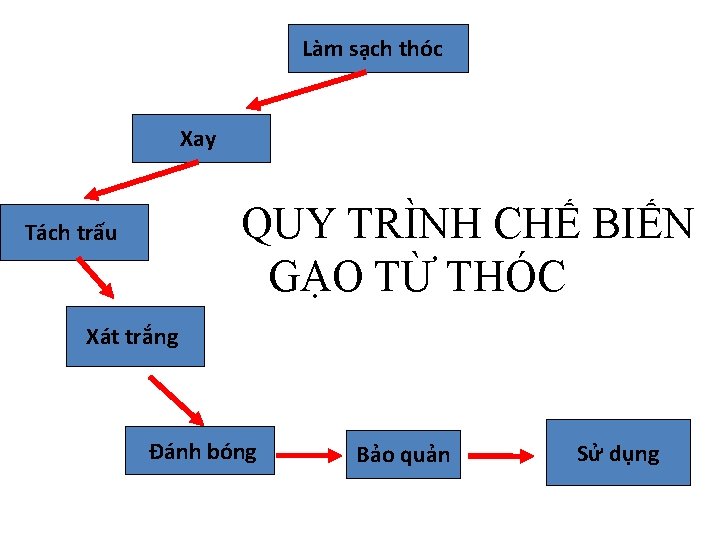 Làm sạch thóc Xay QUY TRÌNH CHẾ BIẾN GẠO TỪ THÓC Tách trấu Xát