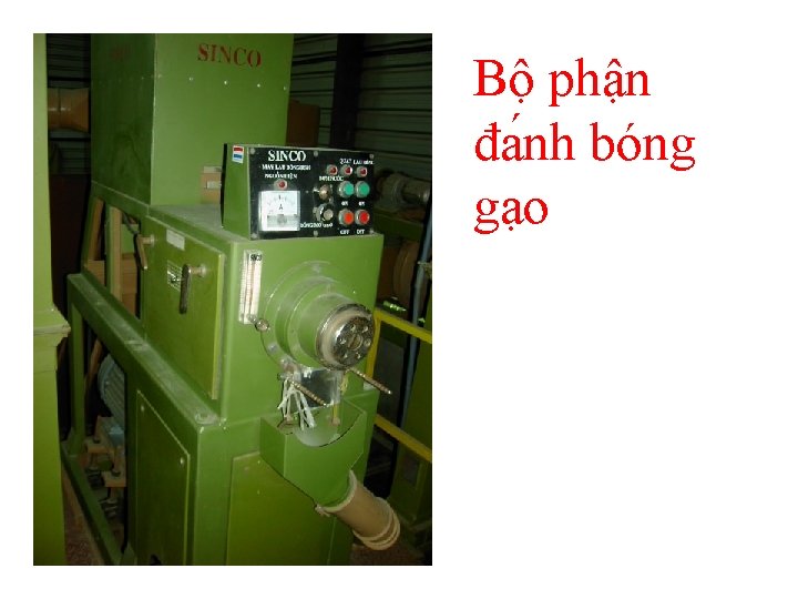 Bộ phận đa nh bóng gạo 