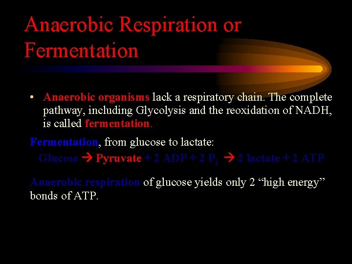 Anaerobic Respiration or Fermentation • Anaerobic organisms lack a respiratory chain. The complete pathway,