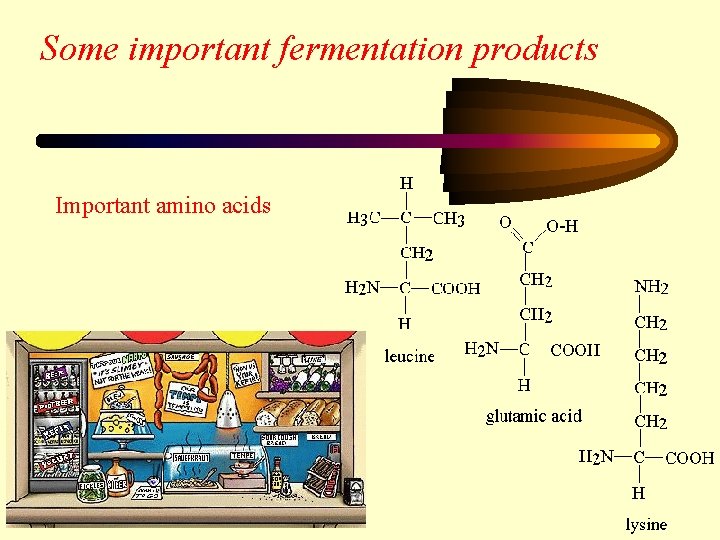 Some important fermentation products Important amino acids 16 