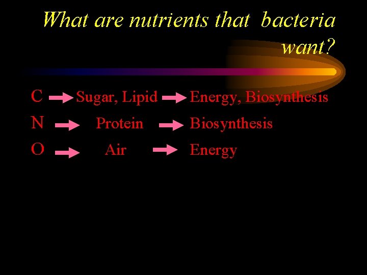 What are nutrients that bacteria want? C N O Sugar, Lipid Energy, Biosynthesis Protein