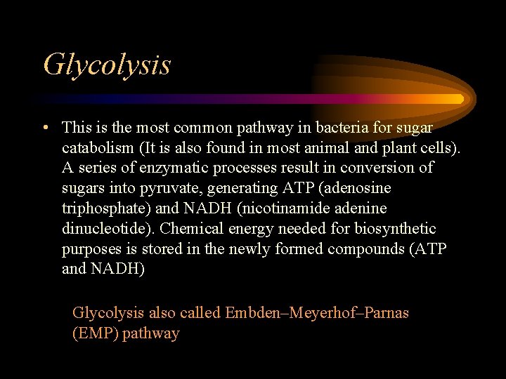 Glycolysis • This is the most common pathway in bacteria for sugar catabolism (It