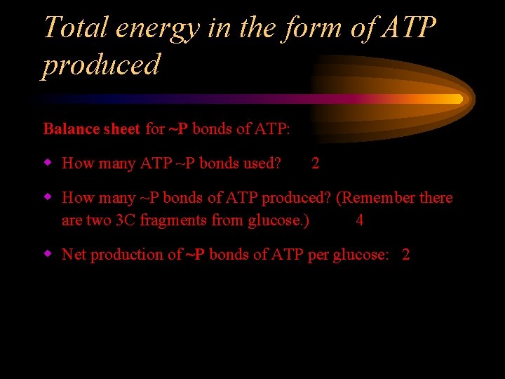 Total energy in the form of ATP produced Balance sheet for ~P bonds of