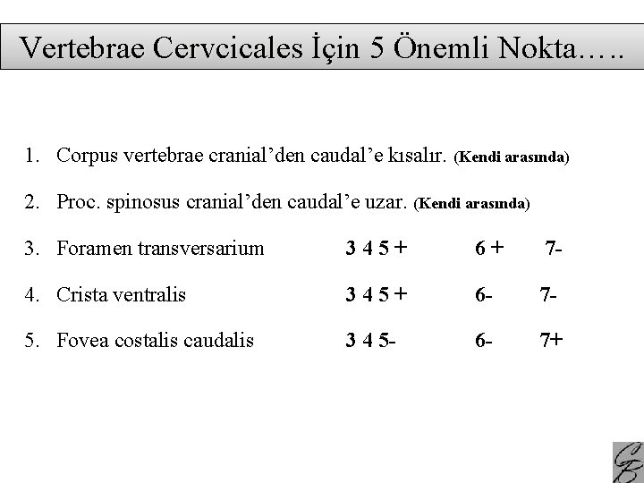 Vertebrae Cervcicales İçin 5 Önemli Nokta…. . 1. Corpus vertebrae cranial’den caudal’e kısalır. (Kendi