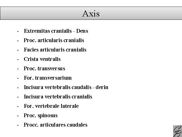 Axis - Extremitas cranialis - Dens - Proc. articularis cranialis - Facies articularis cranialis