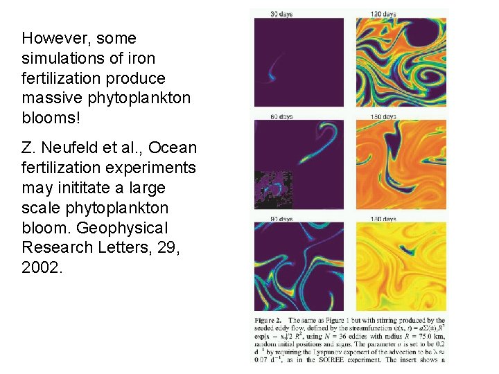 However, some simulations of iron fertilization produce massive phytoplankton blooms! Z. Neufeld et al.