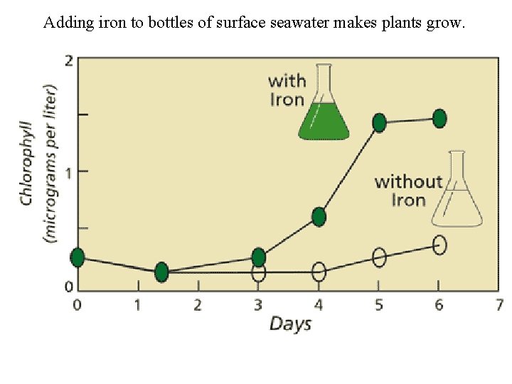 Adding iron to bottles of surface seawater makes plants grow. 