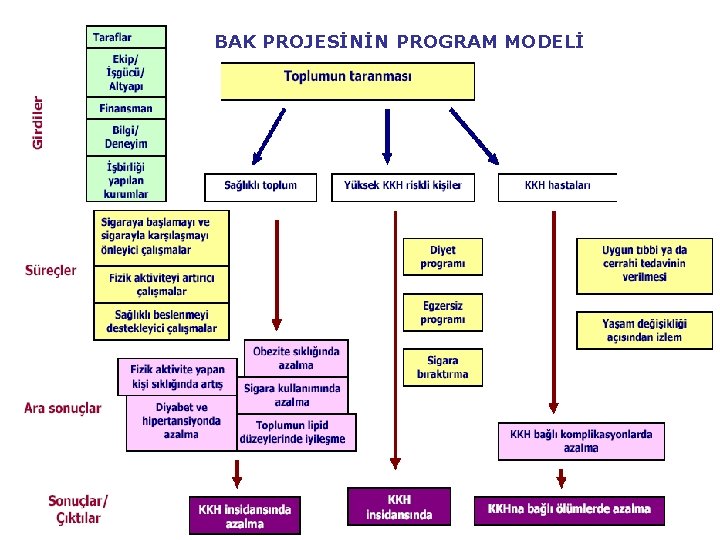 BAK PROJESİNİN PROGRAM MODELİ 