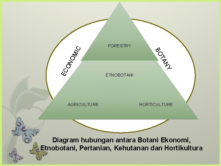 EC O NY AGRICULTURE TA NO MI BO C FORESTRY ETNOBOTANI HORTICULTURE Diagram hubungan