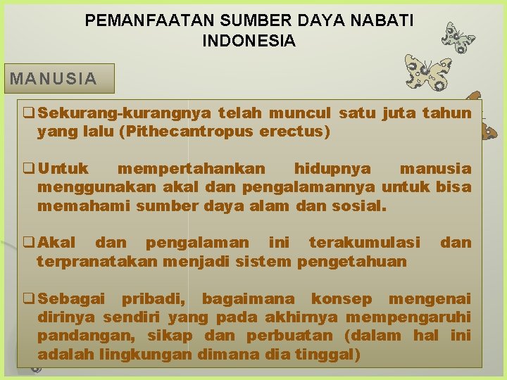 PEMANFAATAN SUMBER DAYA NABATI INDONESIA MANUSIA q Sekurang-kurangnya telah muncul satu juta tahun yang