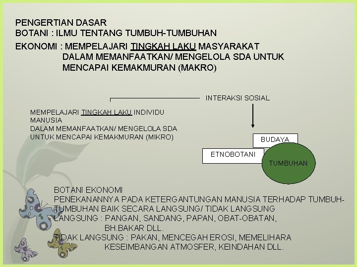 PENGERTIAN DASAR BOTANI : ILMU TENTANG TUMBUH-TUMBUHAN EKONOMI : MEMPELAJARI TINGKAH LAKU MASYARAKAT DALAM