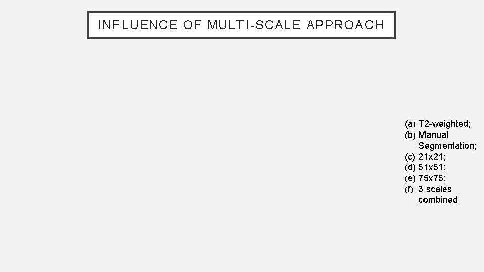 INFLUENCE OF MULTI-SCALE APPROACH (a) T 2 -weighted; (b) Manual Segmentation; (c) 21 x