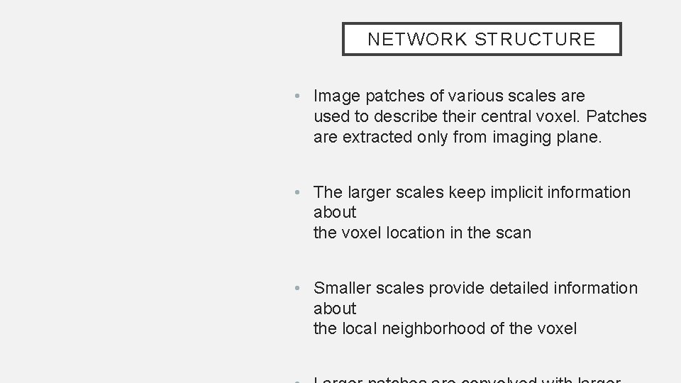 NETWORK STRUCTURE • Image patches of various scales are used to describe their central