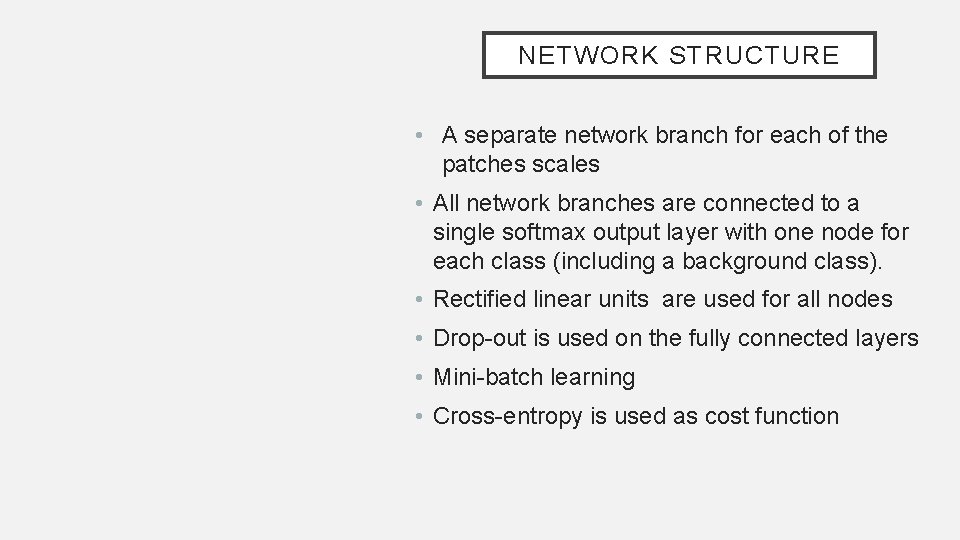 NETWORK STRUCTURE • A separate network branch for each of the patches scales •