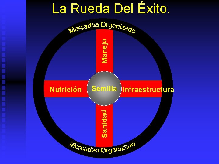 Manejo La Rueda Del Éxito. Semilla Infraestructura Sanidad Nutrición 