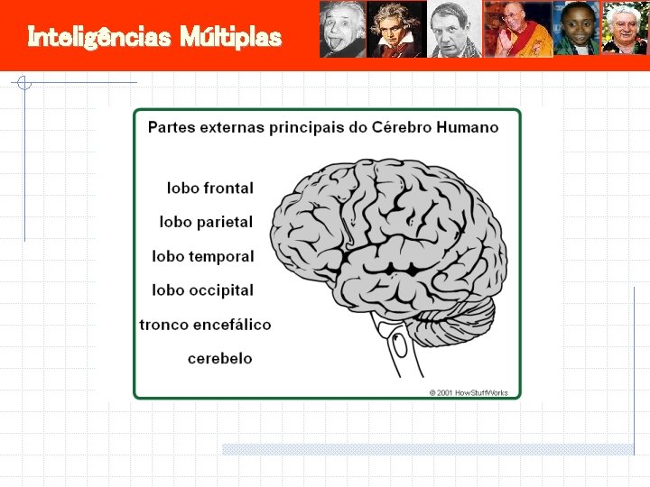 Inteligências Múltiplas 