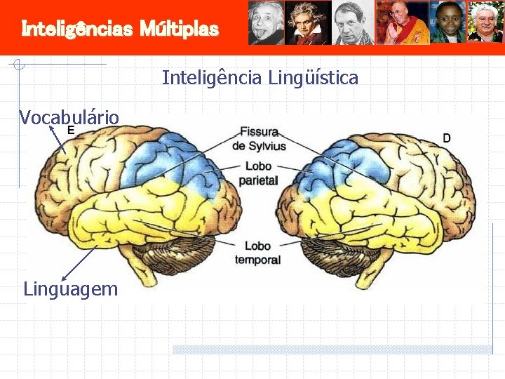 Inteligências Múltiplas Inteligência Lingüística Vocabulário Linguagem 