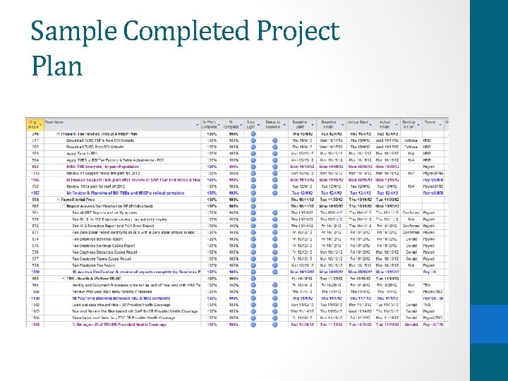 Sample Completed Project Plan 