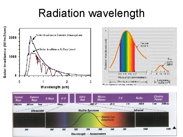 Radiation wavelength 