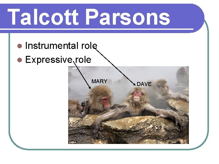 Talcott Parsons l Instrumental role l Expressive role MARY DAVE 