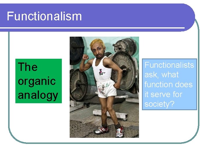 Functionalism The organic analogy Functionalists ask, what function does it serve for society? 