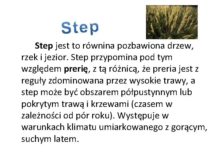 Step jest to równina pozbawiona drzew, rzek i jezior. Step przypomina pod tym względem