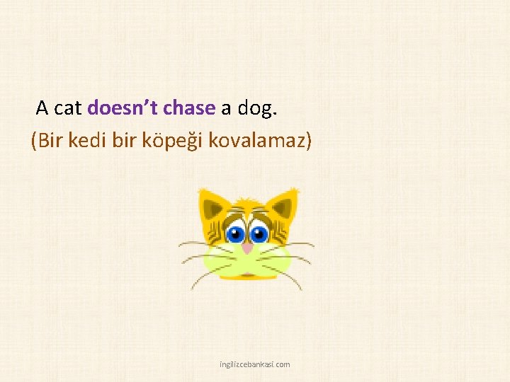 A cat doesn’t chase a dog. (Bir kedi bir köpeği kovalamaz) ingilizcebankasi. com 