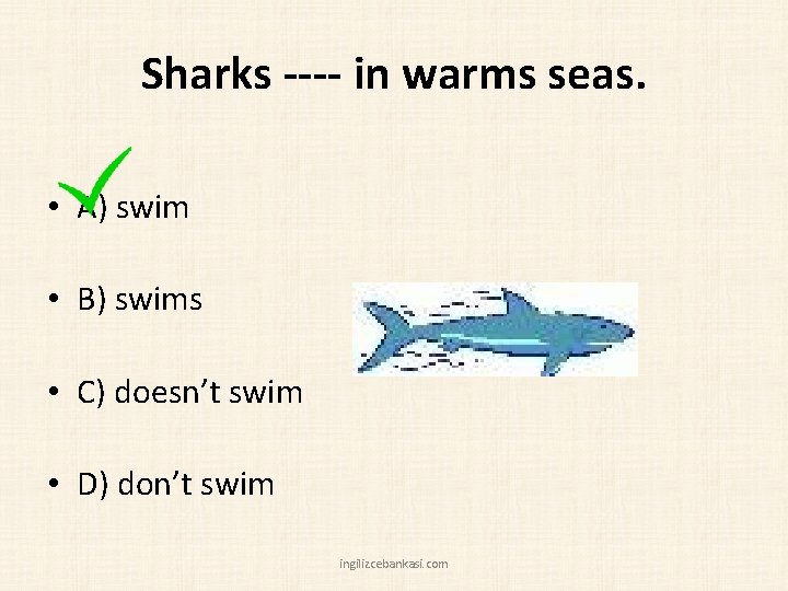 Sharks ---- in warms seas. • A) swim • B) swims • C) doesn’t