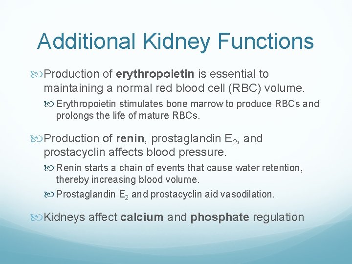 Additional Kidney Functions Production of erythropoietin is essential to maintaining a normal red blood