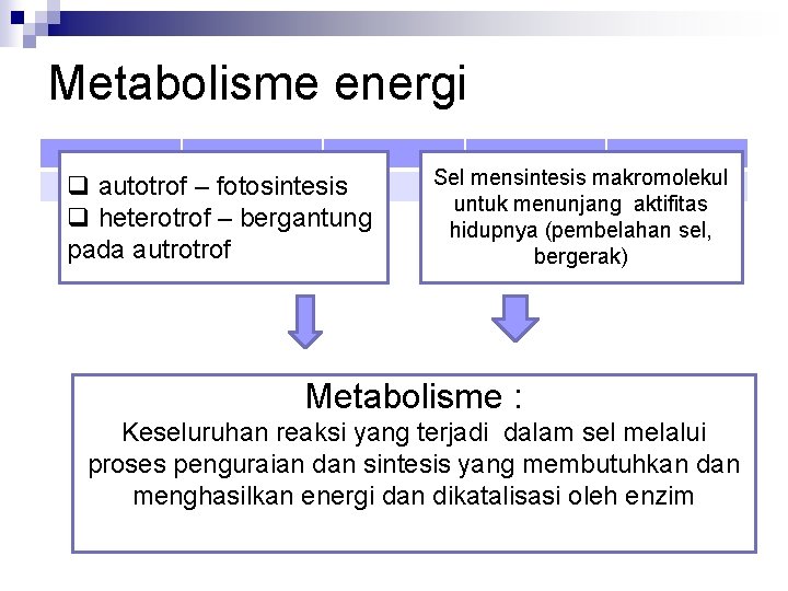 Metabolisme energi q autotrof – fotosintesis q heterotrof – bergantung pada autrotrof Sel mensintesis