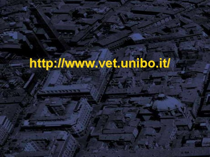 http: //www. vet. unibo. it/ 