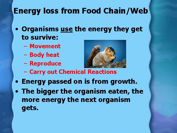 Energy loss from Food Chain/Web • Organisms use the energy they get to survive: