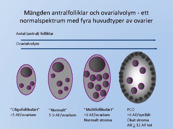 Mängden antralfolliklar och ovarialvolym - ett normalspektrum med fyra huvudtyper av ovarier Antal (antral)