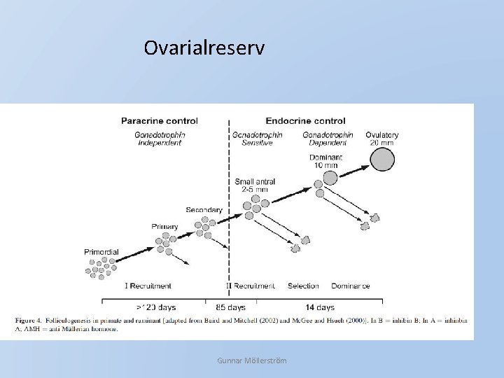 Ovarialreserv Gunnar Möllerström 