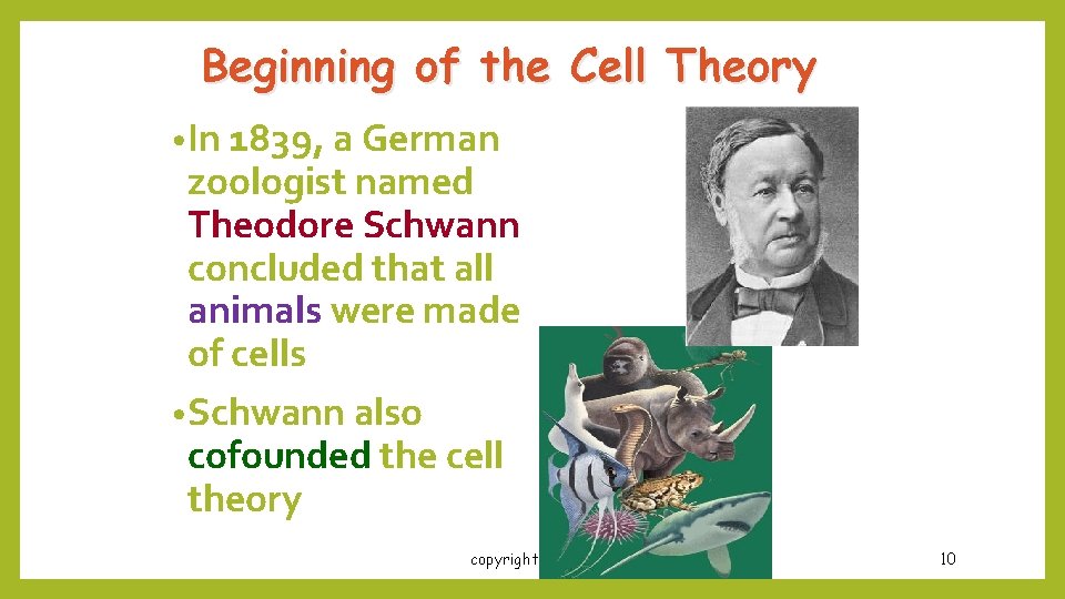 Beginning of the Cell Theory • In 1839, a German zoologist named Theodore Schwann