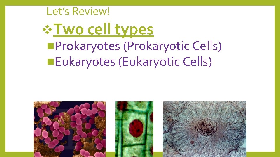 Let’s Review! v. Two cell types n. Prokaryotes (Prokaryotic Cells) n. Eukaryotes (Eukaryotic Cells)