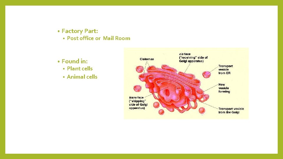  • Factory Part: • • Post office or Mail Room Found in: Plant