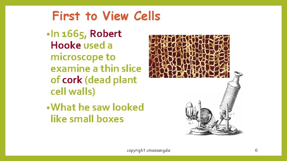 First to View Cells • In 1665, Robert Hooke used a microscope to examine