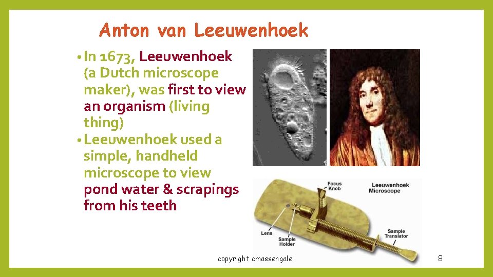 Anton van Leeuwenhoek • In 1673, Leeuwenhoek (a Dutch microscope maker), was first to
