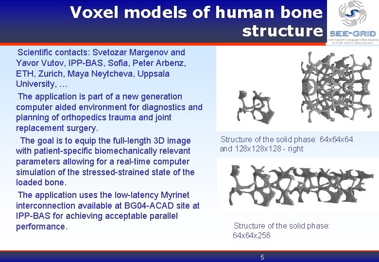 Voxel models of human bone structure Scientific contacts: Svetozar Margenov and Yavor Vutov, IPP-BAS,