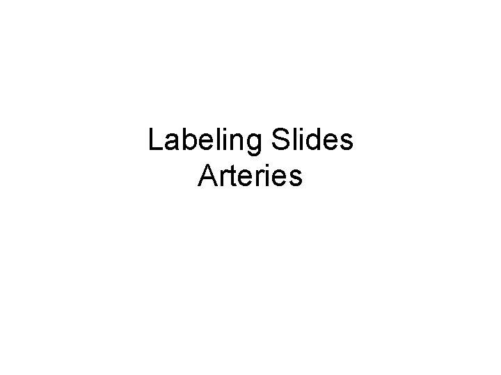 Labeling Slides Arteries 
