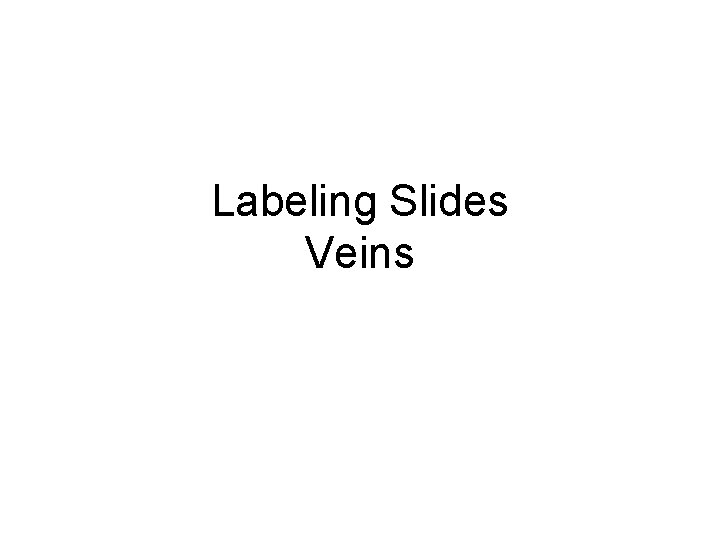 Labeling Slides Veins 